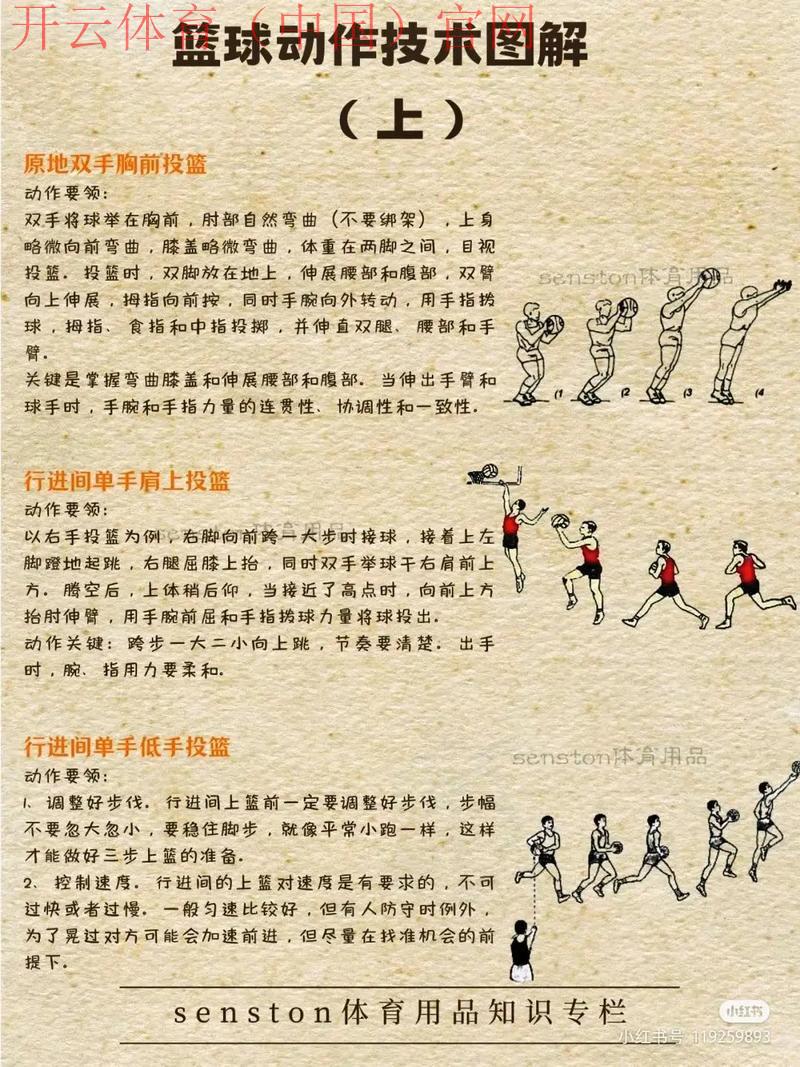 皇冠体育怎么玩篮球, 从新手到高手，全面解析皇冠体育篮球投注策略与经验分享